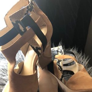 Calvin Klein suede and snake shoe